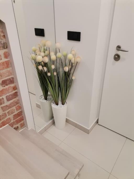 Studio Apartman Lenox Rijeka Ngoại thất bức ảnh